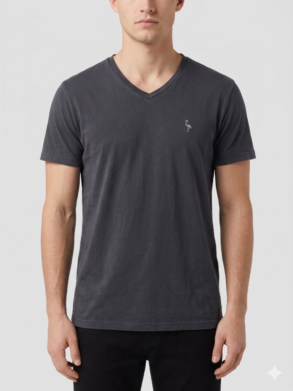Tailorbyrd Sport Mens V-Neck T-Shirt Black Pima Soft Touch Size M
